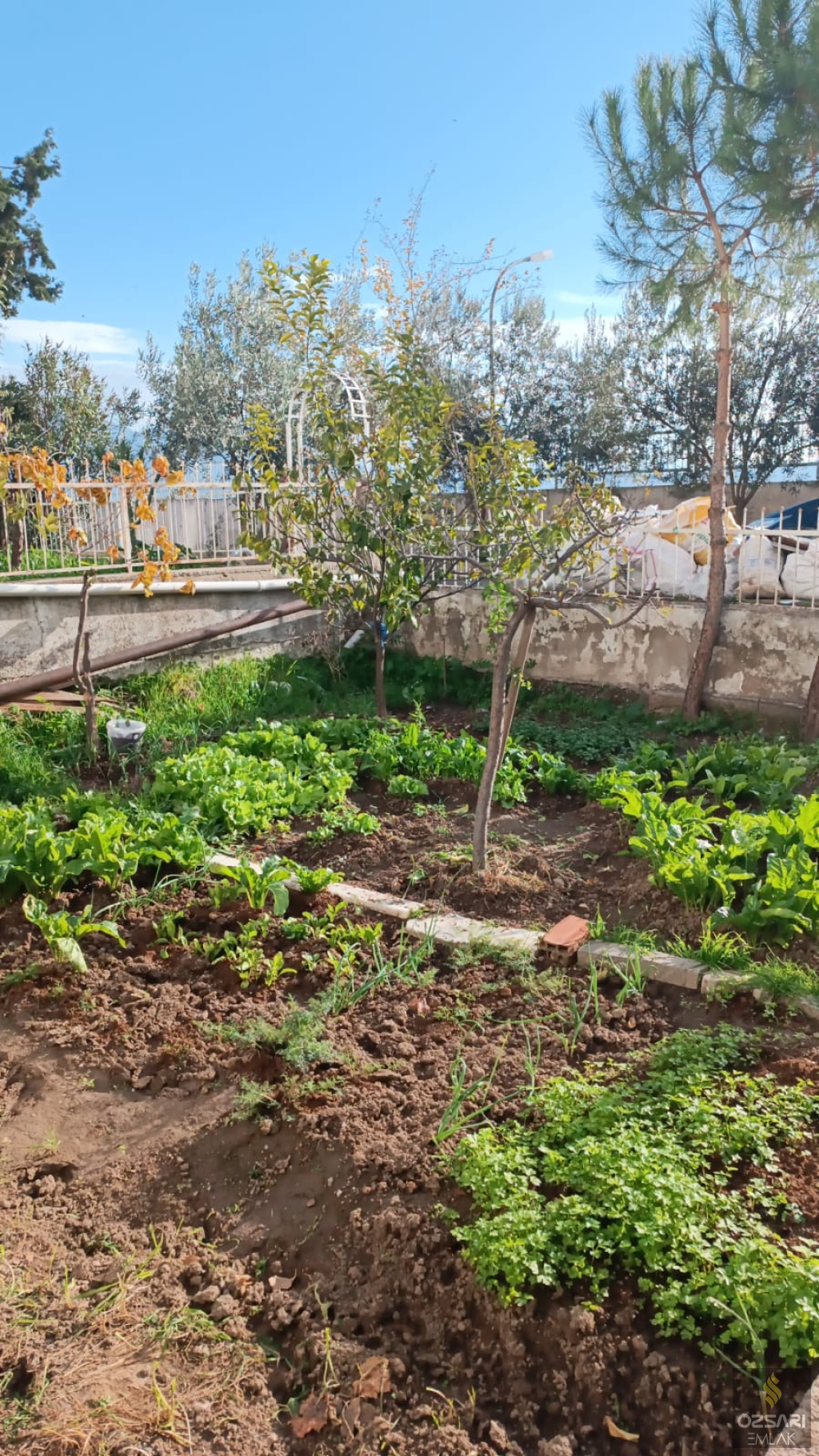 Bornova Atatürk mah. 3+1 doğalgazlı kiralik bahçe katı Daire